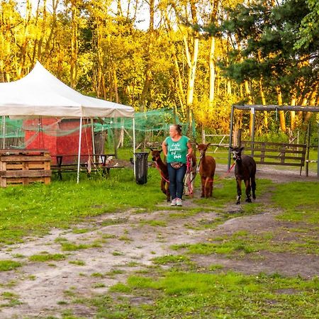 מלון Jankowice  Glamping Z Alpakami מראה חיצוני תמונה