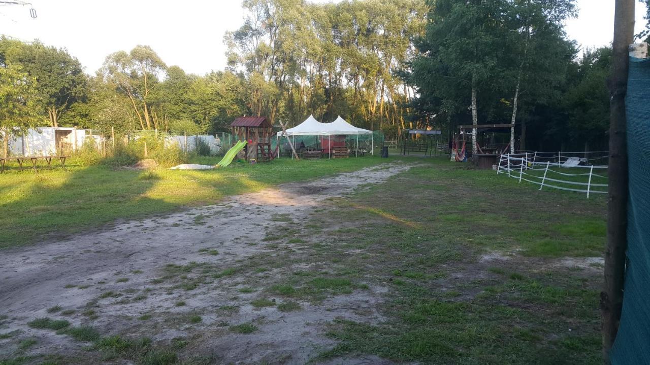 מלון Jankowice  Glamping Z Alpakami מראה חיצוני תמונה
