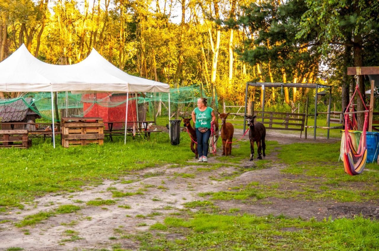 מלון Jankowice  Glamping Z Alpakami מראה חיצוני תמונה